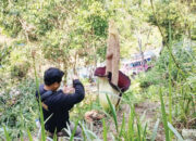 Bunga Langka Mekar Sempurna di Pinggir Jalan Nasional
