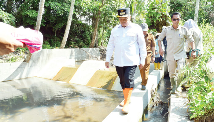 Bupati Agam Tinjau Dam Irigasi Sungai Angek, Perkuat Ketahanan Pertanian Hadapi Anomali Iklim