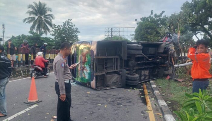 Bus PO Kawan Tabrak Pohon lalu Terbalik, Sopir dan 7 Penumpang Luka-Luka