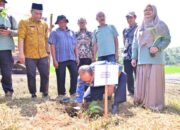 Pemko Payakumbuh Tanam 3.000 Bibit Pisang, Demi Memperkuat Pasokan Buah Lokal Program MBG