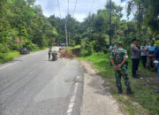 Polsek Pangkalan Tegas Cegah Praktik Pungli di Jalur Sumbar–Riau