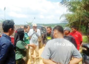 Tak Terima Ribuan Hektare Tanah Ulayat Nagari Diserobot, Masyarakat Pertanyakan Proses Perizinan PT Kalidareh Bumi Lestari di Sikabau