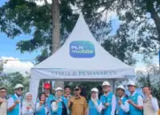 Upaya PLN Hadirkan Listrik, PLN UP3 Solok dan Pemkab Solok Resmikan Program BPBL di Singkarak