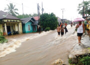 Banjir dan Longsor Terjang Kecamatan Talamau, Puluhan Rumah Terdampak