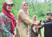 Kelompok Tani di Palembayan Terima Bantuan 500 Ayam Petelur dan Pakan