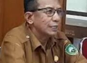 Menjelang Purna Tugas, Kepala Dinas Kominfo Pasaman Tinggalkan Jejak Pengabdian Hampir Empat Dekade