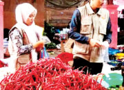 Pemkab Agam Perketat Pengawasan Pangan, Cegah Peredaran Bahan Berbahaya di Pasar