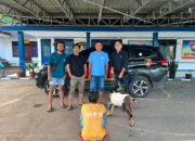 Parah! Muslim Curi Kambing untuk Membeli Sabu
