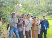 Tindaklanjut Proposal Permohonan Bantuan Alsintan Keltan Batang Kumanih, Tim Survei BI Lakukan Verifikasi Lapangan
