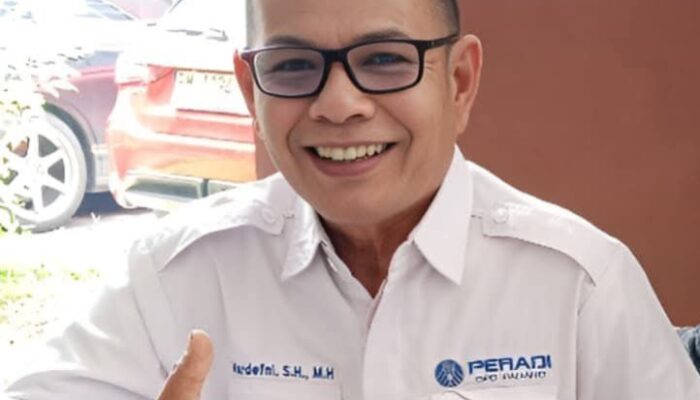 Hinca Pandjaitan Jadi Penjamin BSN, Advokat Senior Ini Ingatkan DPR Jangan Bikin Kegaduhan Hukum