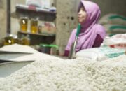 Pemerintah Pastikan Beras Premium Tidak Langka, Upayakan Keseimbangan dengan Program Intervensi
