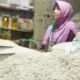 Pemerintah Pastikan Beras Premium Tidak Langka, Upayakan Keseimbangan dengan Program Intervensi