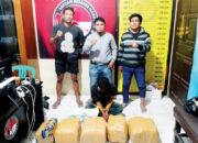 Gegara Kecelakaan, Mobil Terios Kedapatan Bawa 25 Kg Ganja Kering, Sopir Kabur, Penumpang Ditangkap