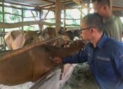 Hadirkan Vet GAS, Layanan Kesehatan Hewan Keliling di Solsel