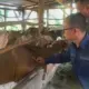 Hadirkan Vet GAS, Layanan Kesehatan Hewan Keliling di Solsel