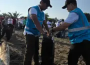 PLN UID Sumbar Bersihkan Pantai Purus Bersama Ratusan Relawan, Perkuat Komitmen Lingkungan ASRI