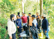 Kakak Beradik Nekat Tanam Ganja di Kebun Karet, 21 Batang jadi Barang Bukti