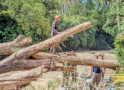 Cuaca Ekstrem Mengancam Kota Padang, Gelombang 2,5 Meter dan Angin Kencang, Nelayan Diminta Tunda Melaut