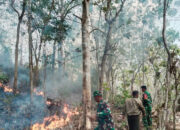 Kemenhut Akselerasi Operasi Terpadu Pengendalian Karhutla