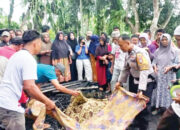 Tragedi Kebakaran Maut Pondok di Ladang, Suami Tewas Terpanggang, Istri Berjuang Cari Pertolongan, Merangkak 600 Meter dalam Kondisi Kaki hingga Punggung Terbakar