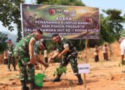 Dukung Ketahanan Pangan, Dandim 0311/ Pessel dan Forkopimda Tanam Bibit Pohon