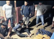 Dua Sekawan Nekat Selundupkan 27 Kg Ganja dari Sumut, Ngaku Diperintah, Rencana Diedarkan di Padang dan Bengkulu