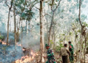 Bantu Penanganan Karhutla, TNI Kerahkan 14.167 Prajurit