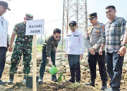 Pasca Banjir Bandang, Salareh Aia Perkuat Benteng Alam dengan Tanaman Bambu
