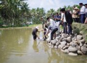 Percepatan Pemulihan Sektor Perikanan Pascabencana Hidrometeorologi, KKP Salurkan Ratusan Ribu Bibit Ikan dan Coolbox di Koto Sani