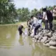 Percepatan Pemulihan Sektor Perikanan Pascabencana Hidrometeorologi, KKP Salurkan Ratusan Ribu Bibit Ikan dan Coolbox di Koto Sani