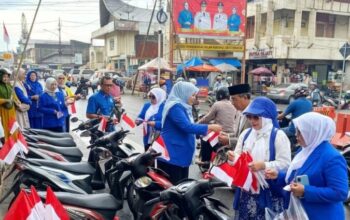 Merawat Kemerdekaan, DPD PAN Padangpanjang  Bagian Bendera Merah Putih, Vani Utaria : Edukasi Sekaligus Transmisi Nilai Sejarah