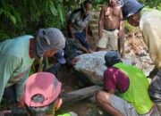 Sawah Kuranji-Pauh Terancam Kering, Dinas PUPR Pacu Perbaikan 4 DI demi Selamatkan Nasib Petani