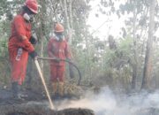 Sengaja Bakar Hutan demi Lahan Sawit, 72 Orang Dijadikan Tersangka Karhutla di 9 Provinsi