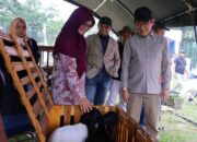 Pemko Payakumbuh Dorong Pengembangan Kambing PE