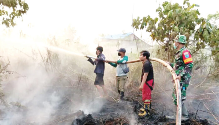 Wamen HAM Soroti Dampak Karhutla, Minta Permasalahan Sosial juga Diselesaikan
