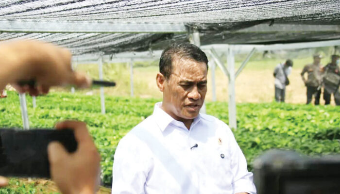 Menteri Pertanian Amran Sulaiman Copot 13 Pejabat Kementan karena Bermain Judol