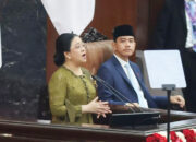 Puan Minta Aparat Selidiki Bekas Karhutla yang Langsung Ditanami Sawit