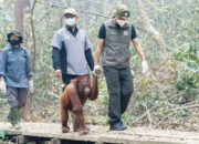 Prabowo Terbitkan Inpres Larangan Buka Lahan dengan Cara Dibakar