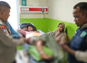 Ngeri! Yulnitawati Diserang Beruang saat Menyadap Karet, Alami Luka Robek di Kaki, Warga Diminta Waspada