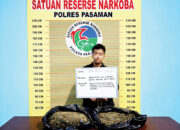 Transaksi di Depan Sekolah, Defri Ditangkap usai Terima 2 Paket Besar Ganja