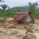 Banjir Bandang Terjang Simpang Tonang Pasaman, 17 Rumah Terendam dan Satu Warga Hilang