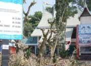 Dua Gugatan Bergulir, Kuasa Hukum Pedagang TMSBK Minta Pemerintah Tahan Penataan