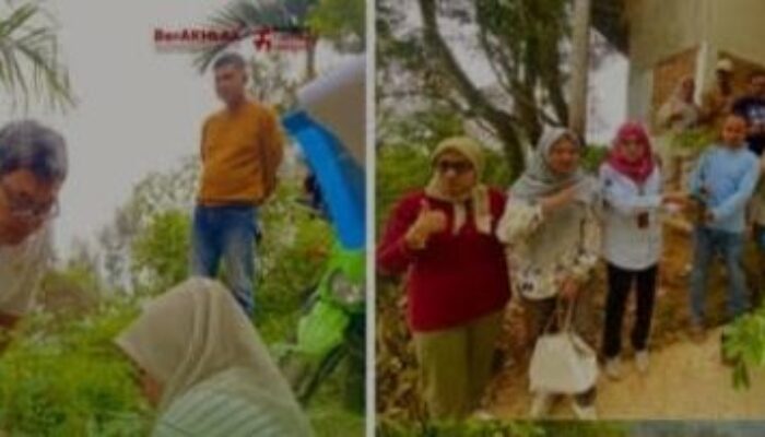 2.800 Bibit Durian Disalurkan untuk 5 Poktan di Sawahlunto, Pemprov Sumbar Pastikan Sesuai Standar
