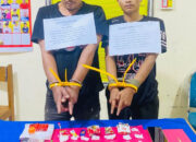 Dua Pengedar Berusaha Kabur dari Sergapan Polisi, Zeni Lari ke Sawah, Fikri Panjat Pohon Kelapa