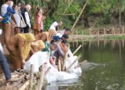 Wali Kota Solok Lepas Benih Ikan di Nan Balimo