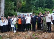Tekan Risiko Banjir, Fadly Amran Bersama Andre Rosiade Tanam 60.000 Pohon Lewat Festival Tanam Hulu