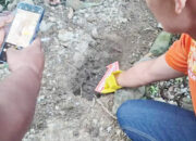 Heboh! Warga Temukan Kerangka Janin Tebrungkus Jilbab Putih, Curiga Ada Makam Baru di Pandam Pekuburan Suku