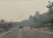 Kabut Asap Tak Menentu, Pemkab Solsel Ingatkan Warga Tetap Waspada