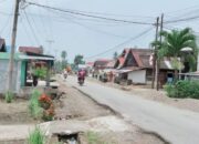 Bukan Tambal Sulam!, Warga Minta Jalan Simpang Sayur-Koto Sawah Dibangun Total