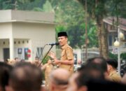 H-2 Pilwana Serentak Dimulai Hari ini, Pemkab Solsel Ajak Seluruh Masyarakat Gunakan Hak Pilih